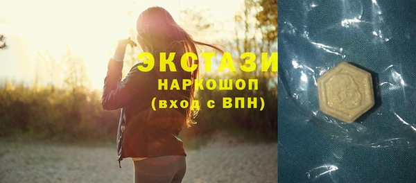 крисы Богородицк