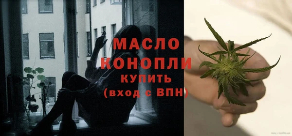 крисы Богородицк