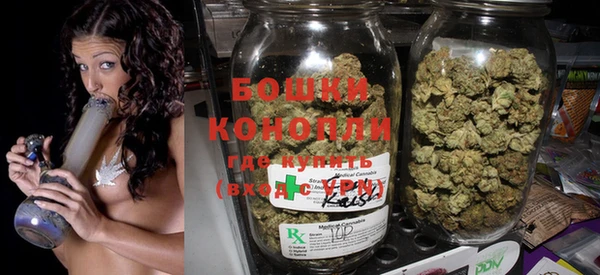 крисы Богородицк