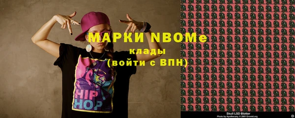 крисы Богородицк