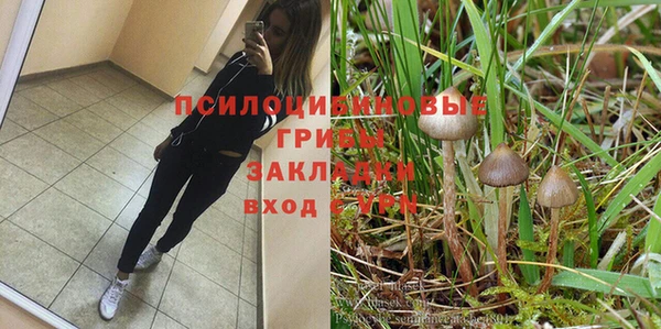 крисы Богородицк