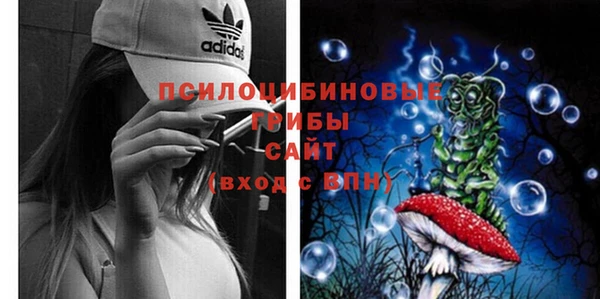 крисы Богородицк
