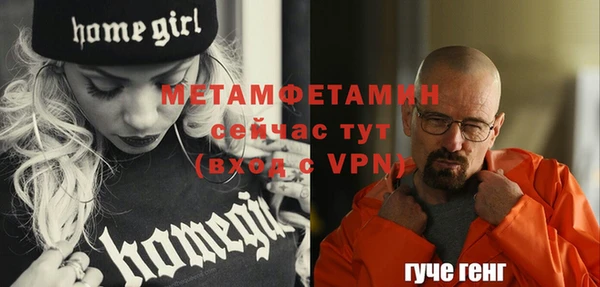 крисы Богородицк