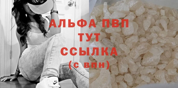 крисы Богородицк