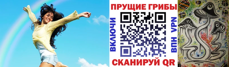 Псилоцибиновые грибы Cubensis  Хабаровск 